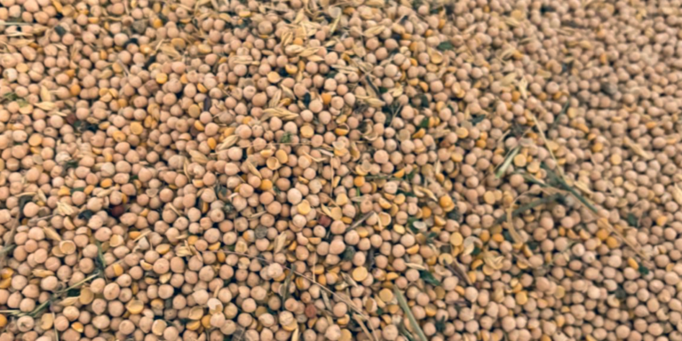 Coltivazione produzione prodotti agricoli